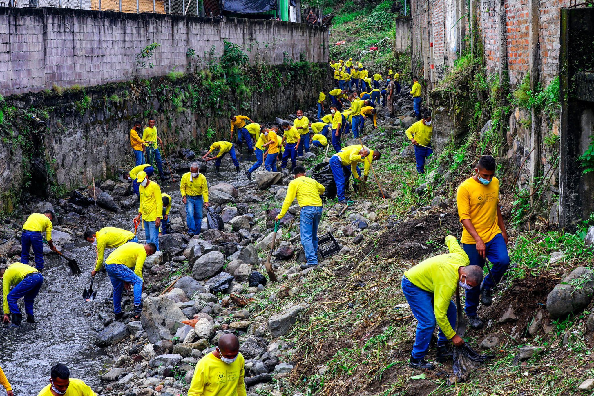 Reos en fase de confianza realizan obras de mitigación en quebradas al sur de San Salvador reos-en-fase-de-confianza-realizan-obras-de-mitigacion-en-quebradas-al-sur-de-san-salvador